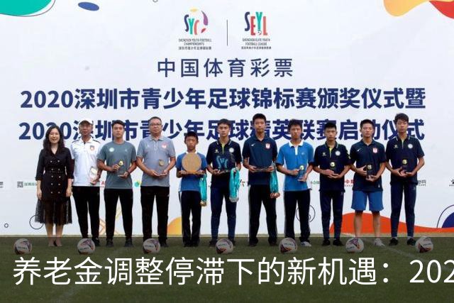 养老金调整停滞下的新机遇：2026年退休人员的重算补发
