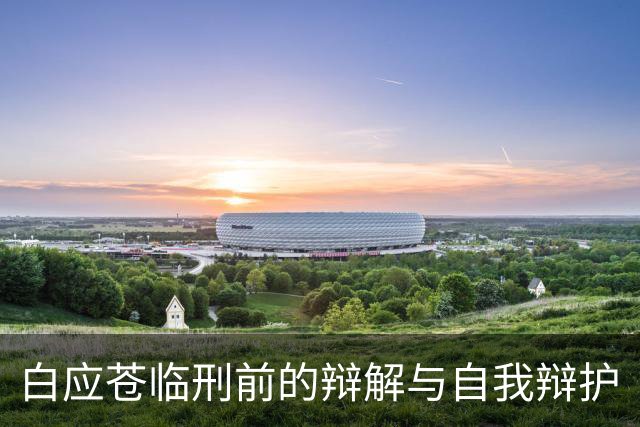 白应苍临刑前的辩解与自我辩护